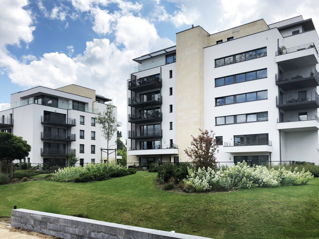 L’Alliance Chapter 1